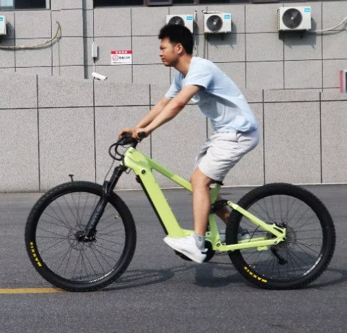 XC Mountain Electric Bike 240nm Best Electric Bike TruckRun Ebike M09 High End 1200w Mid Drive Electric Mountain Bike