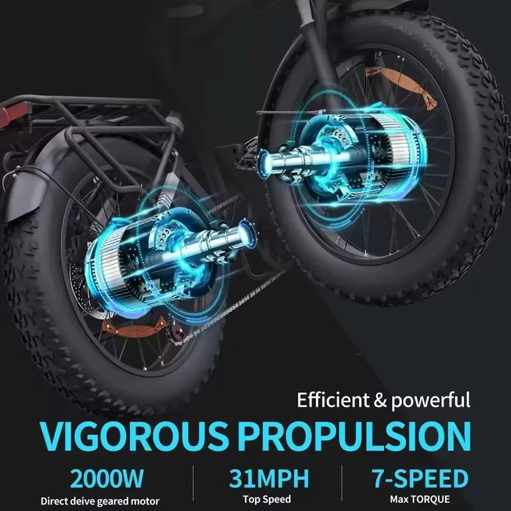 RIDSTAR H20 PRO Folding 2000W Dual Motor 48V 23AH Mountain Snow Electric Bicycle Hydraulic Brake 20*4.0 Fat Tire Electric Bike