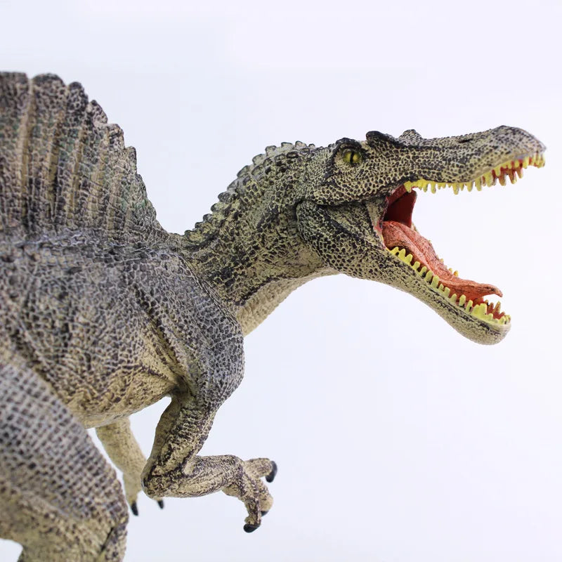 real life dinosaur model plastic Spinosaurus model gift about 32x10x15cm xf2773