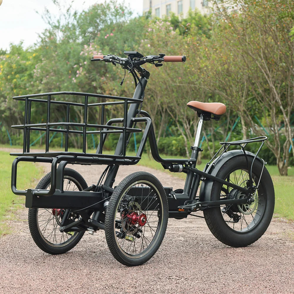 Offroad Electric Tricycle E-bike 3 Wheel Electric Long Range Electric Front Cargo Bike
