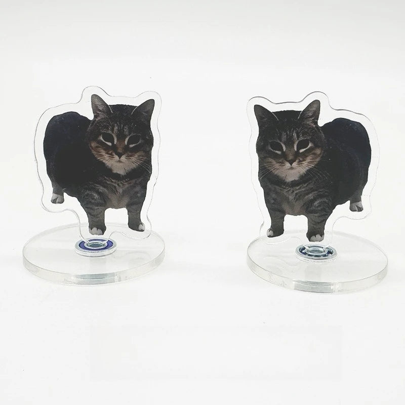 Cute Oiiai Cat NEW Pattern Acrylic 360° Rotating Kitten Stands for Desk Decoration Home Decor Car Motorcycle Kids Adults Gifts