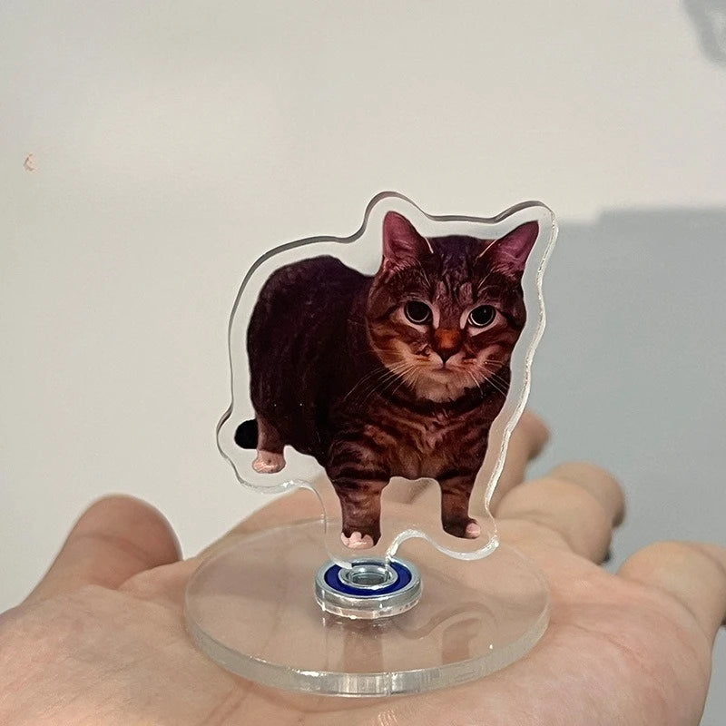Cute Oiiai Cat NEW Pattern Acrylic 360° Rotating Kitten Stands for Desk Decoration Home Decor Car Motorcycle Kids Adults Gifts