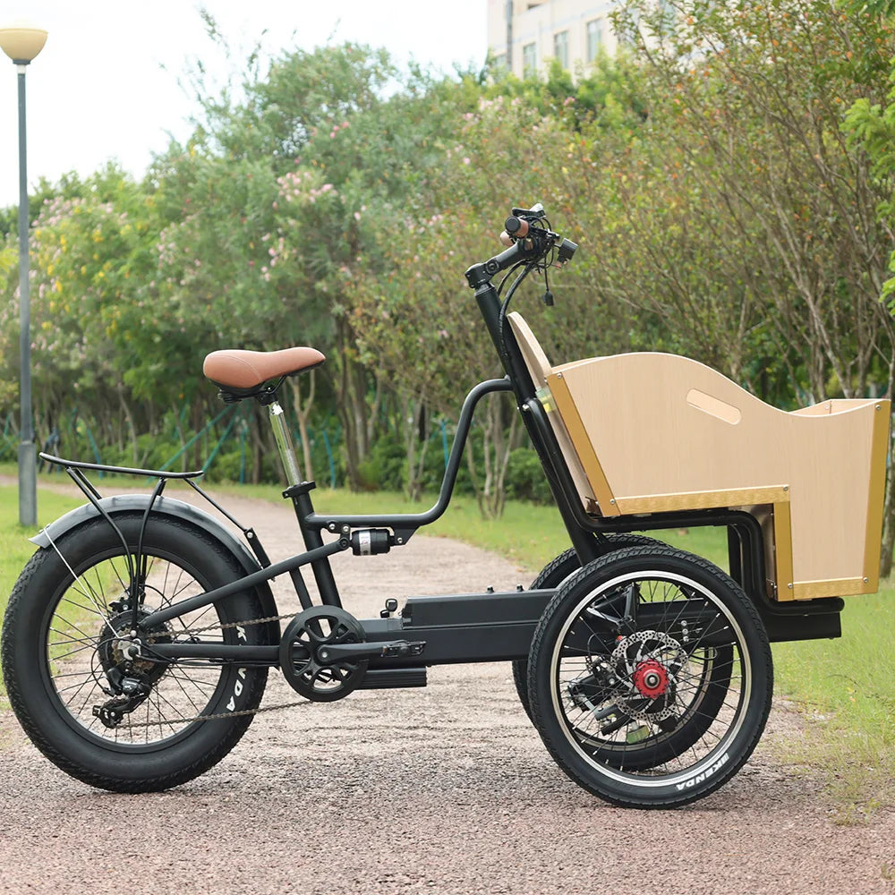 Offroad Electric Tricycle E-bike 3 Wheel Electric Long Range Electric Front Cargo Bike