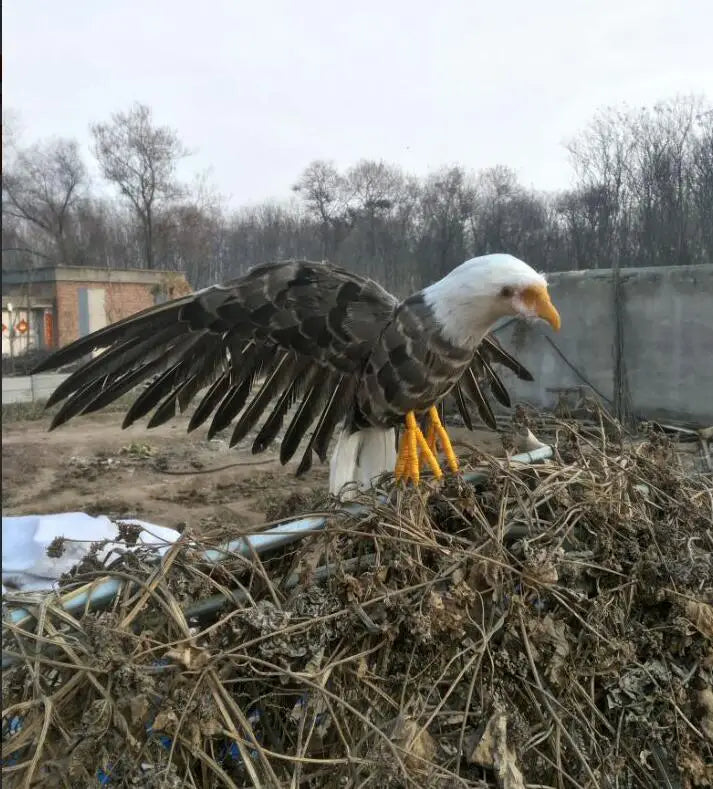 new real life wings eagle model foam&amp;feathers eagle gift about 30x55cm xf2866