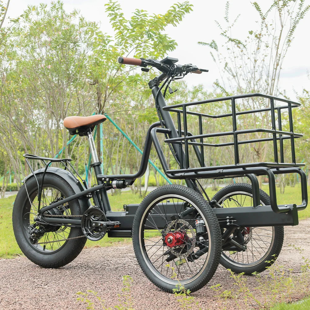 Offroad Electric Tricycle E-bike 3 Wheel Electric Long Range Electric Front Cargo Bike