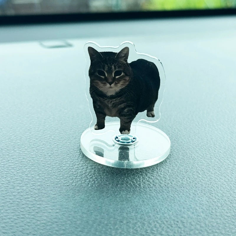 Cute Oiiai Cat NEW Pattern Acrylic 360° Rotating Kitten Stands for Desk Decoration Home Decor Car Motorcycle Kids Adults Gifts