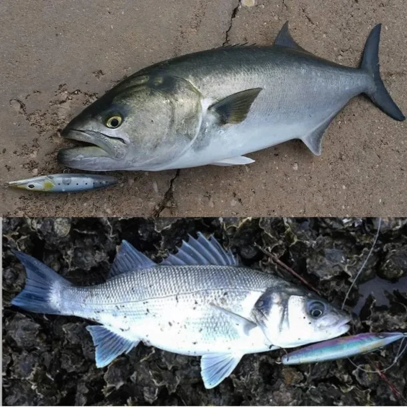 Teknik Fishing Lure 2024 Floating Pencil Bait 90/110/130mm Stickbait Asturias Wobbler Topwater Asturias Lures for seabass bonitos